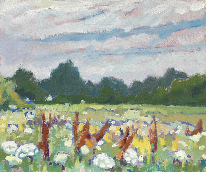 Wildflower Meadow